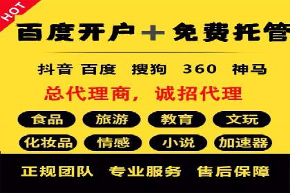 SEM托管公司案例分析：数据驱动决策