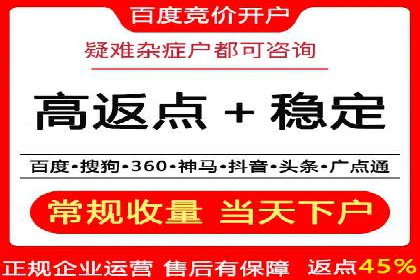 搜索引擎营销（SEM）在电商行业的投放策略案例